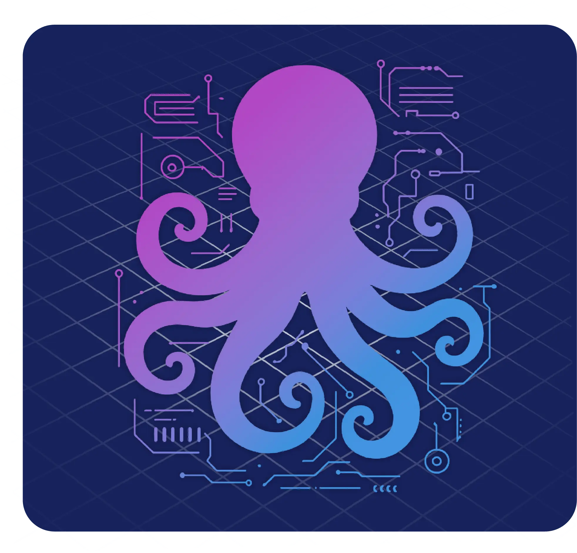 octopus